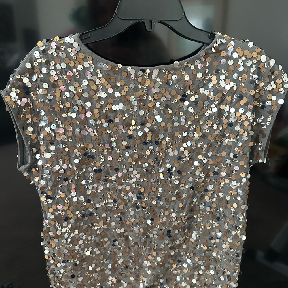 The Limited Silver Sequin Cap Sleeve Blouse